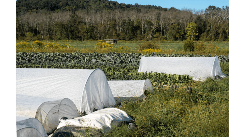 row covers in vegetable garden