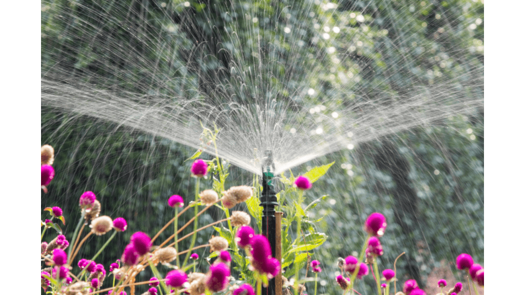 sprinkler watering flower garden