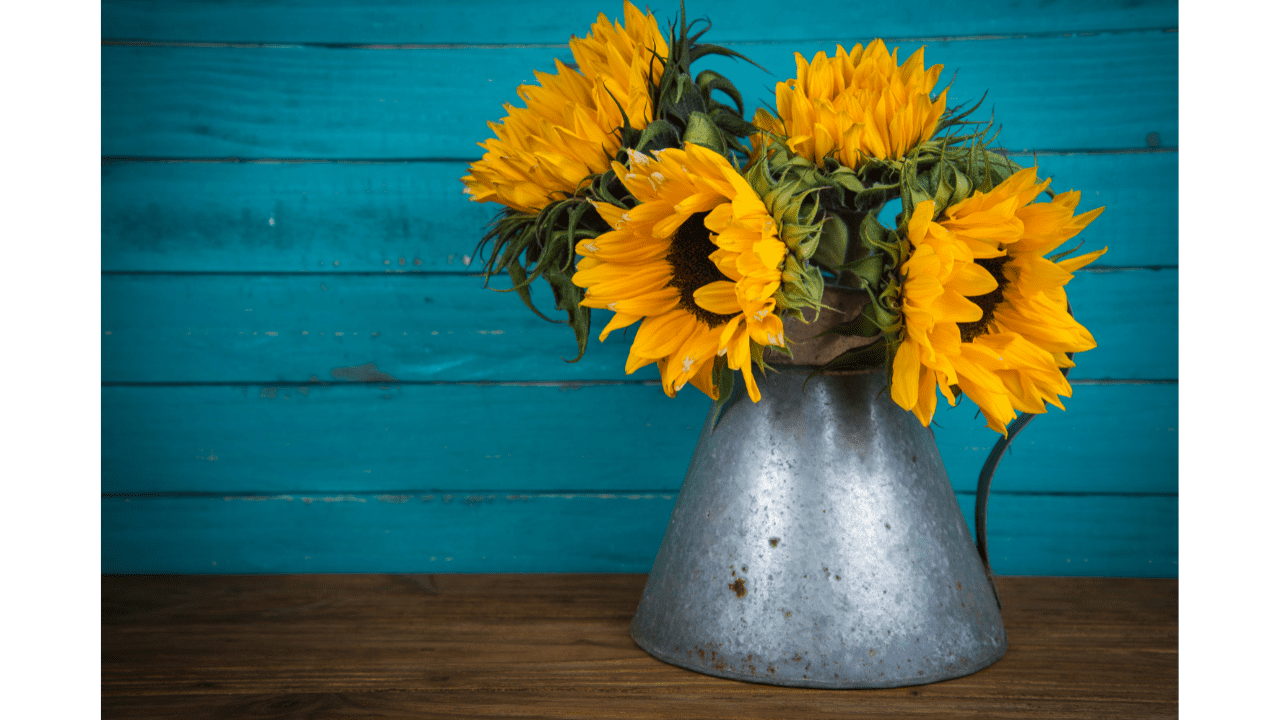 four sunflowers in metal vase