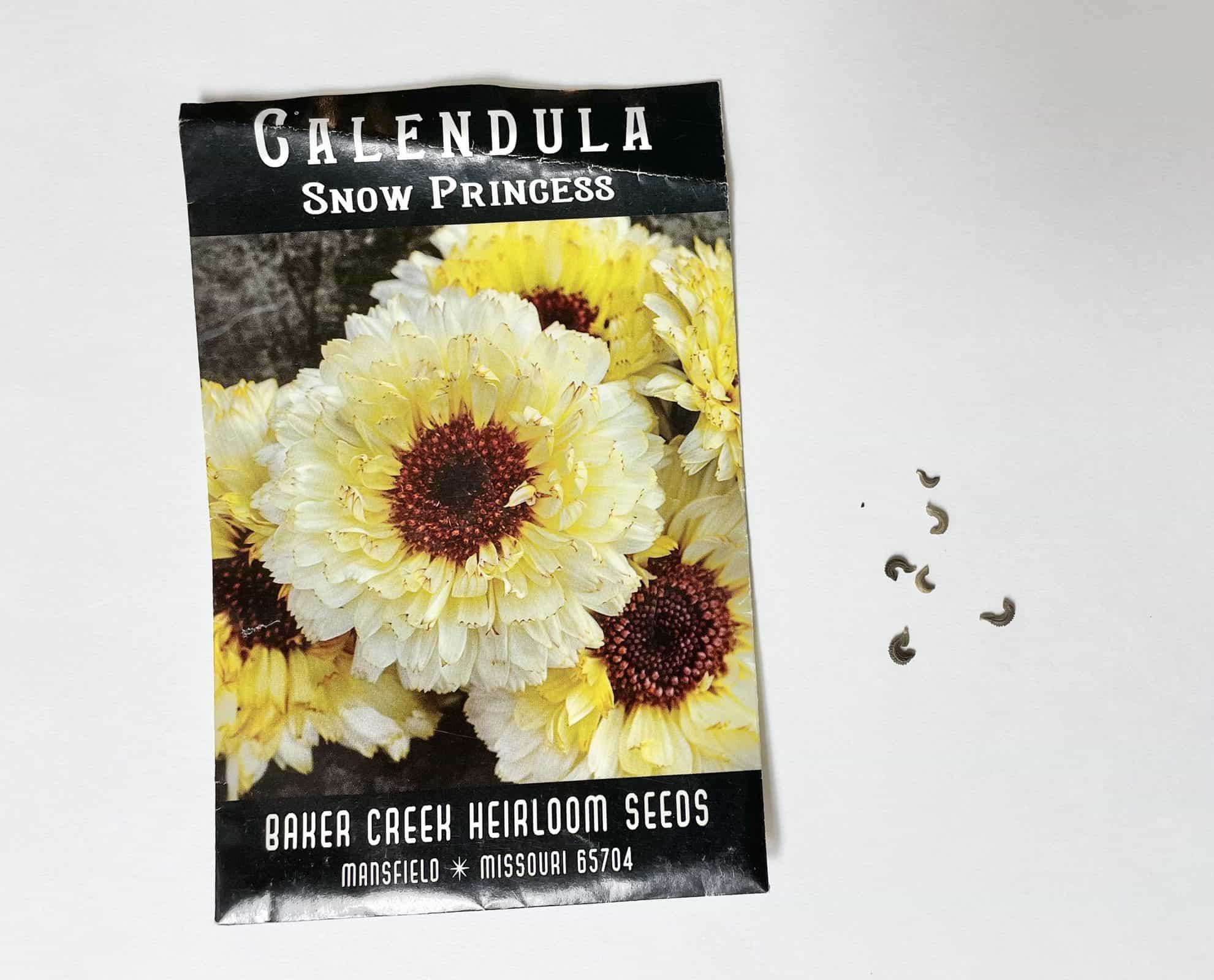 packet of calendula seeds