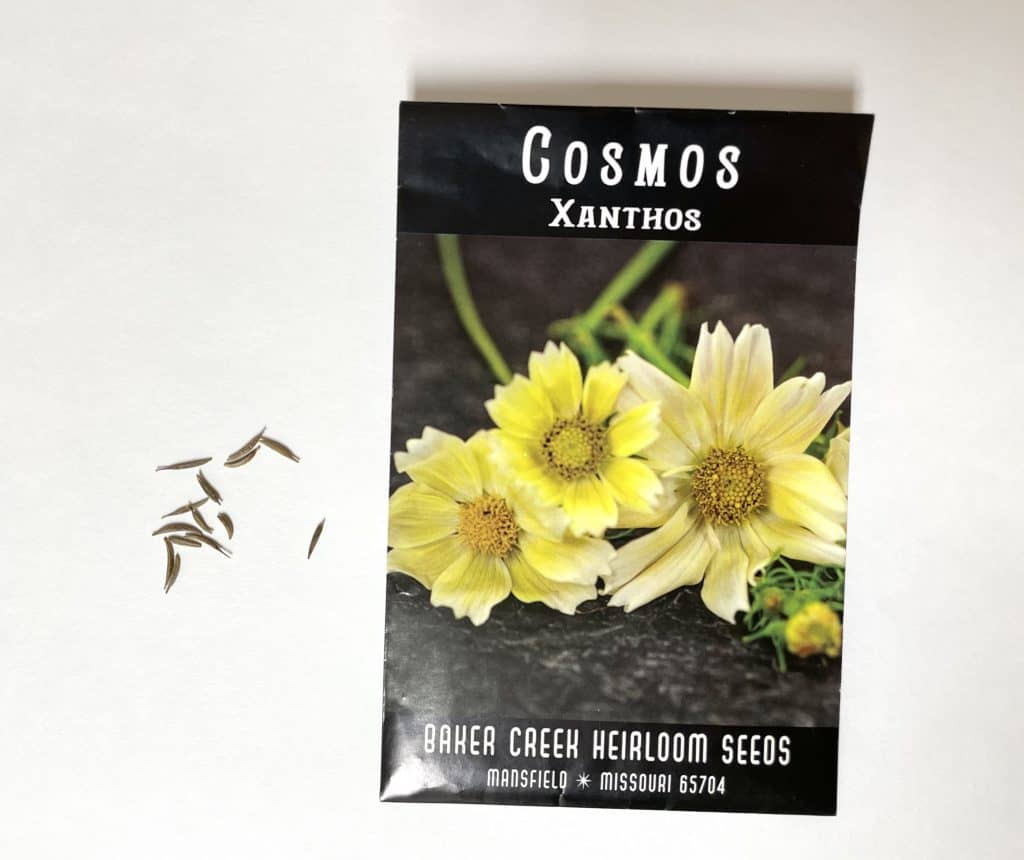 packet of cosmos seeds