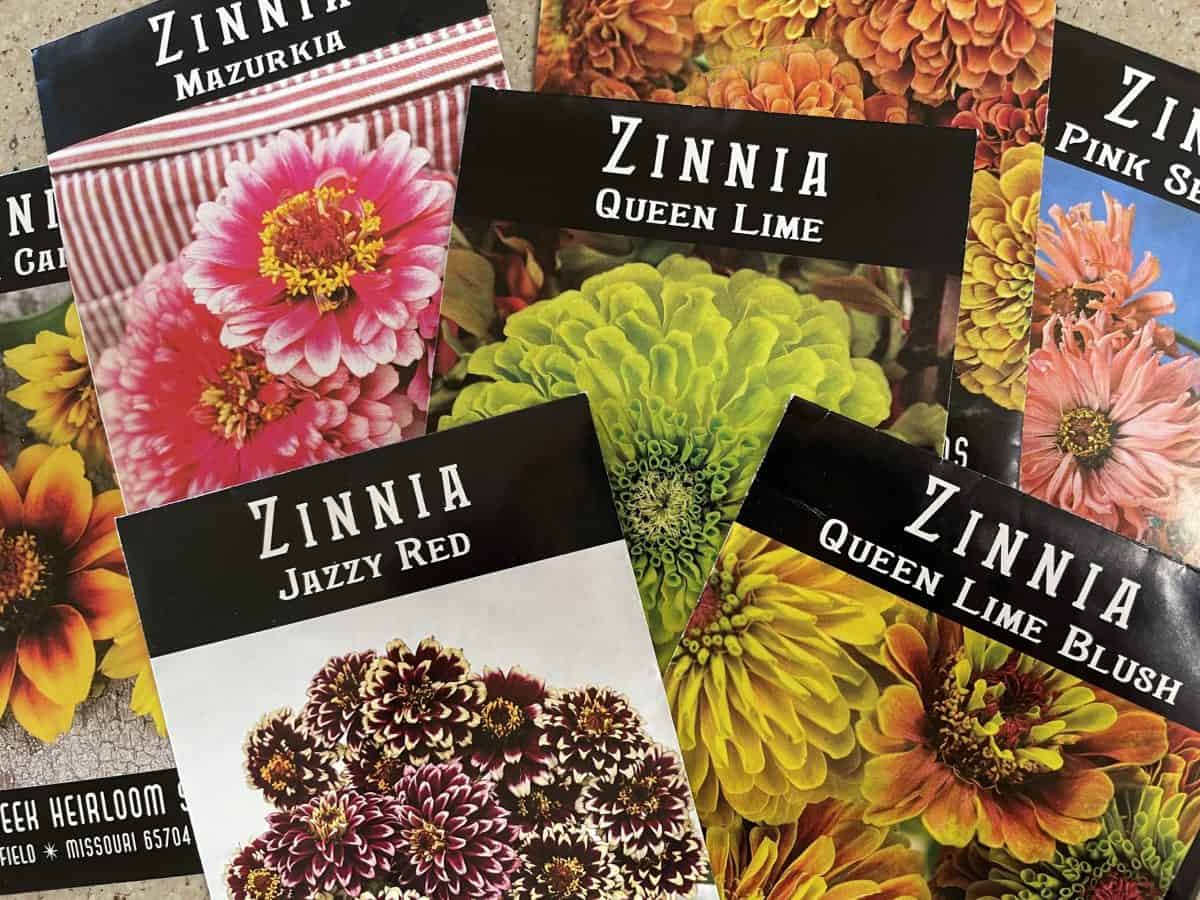 various zinnia seed packets