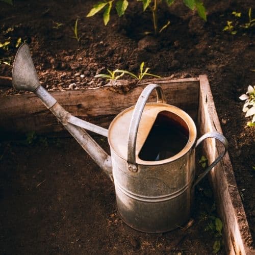 a watering can sitting in a raised bed with soil