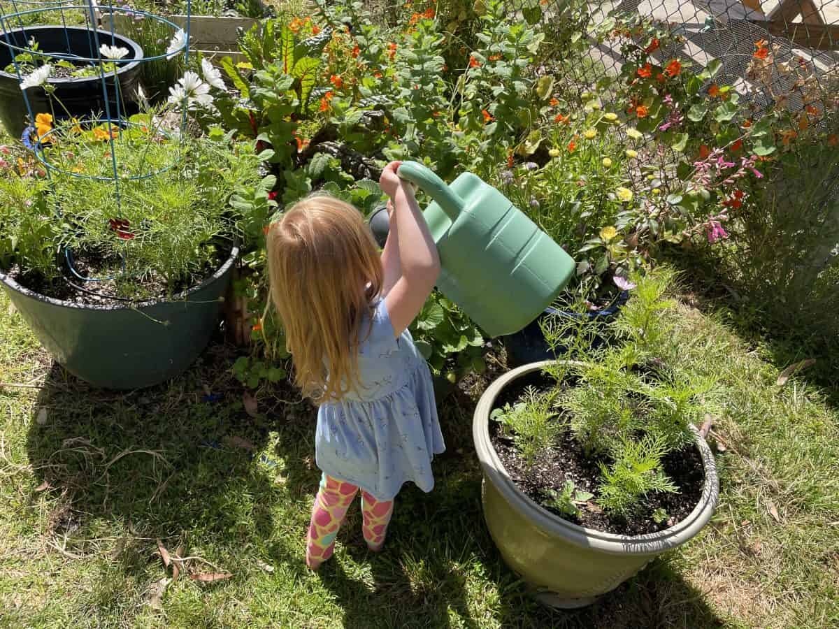 toddler watering garden pots