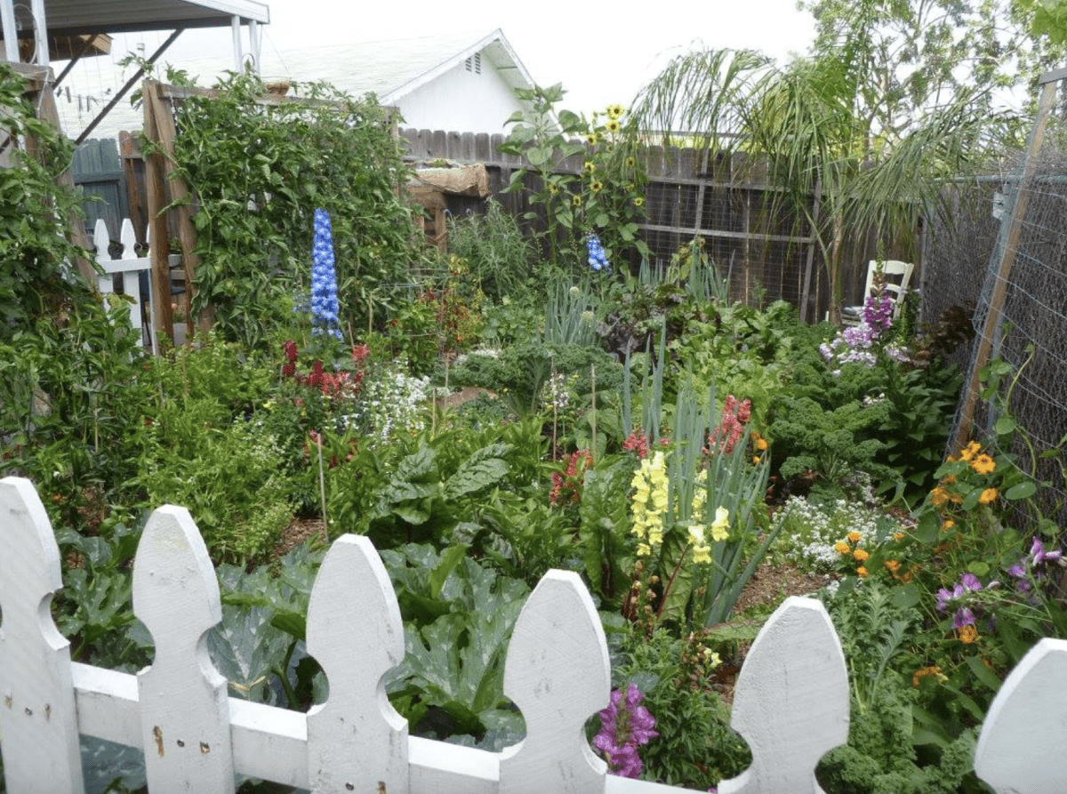 photograph of a backyard garden full of flowers and vegetables