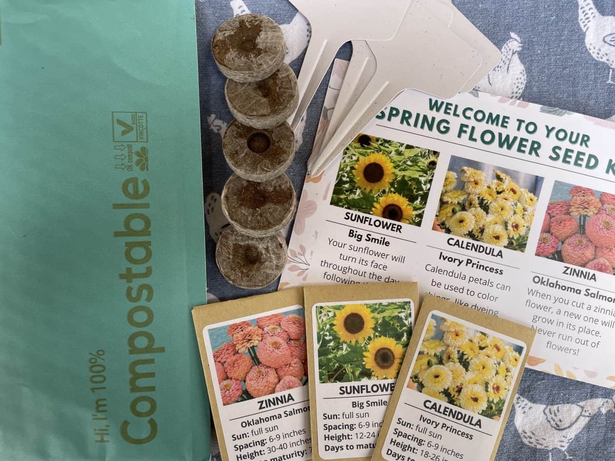 blue bubble mailer with seed packets, card, and plant labels