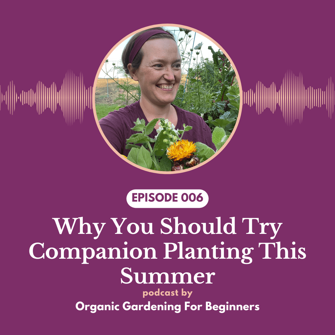 Episode 006: Why You Should Try Companion Planting This Summer