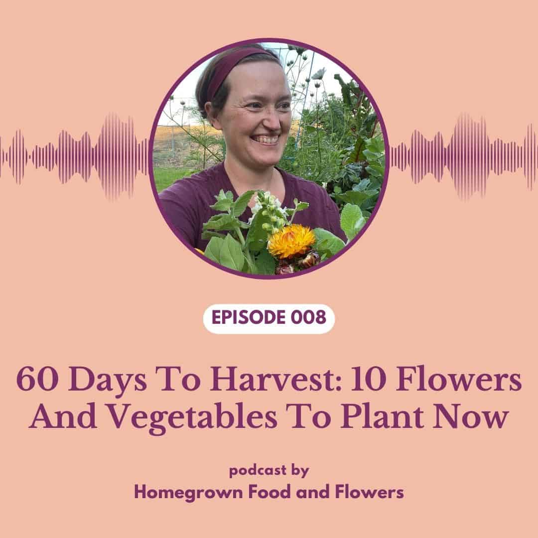 Episode 008: 60 Days To Harvest: 10 Flowers And Vegetables To Plant Now