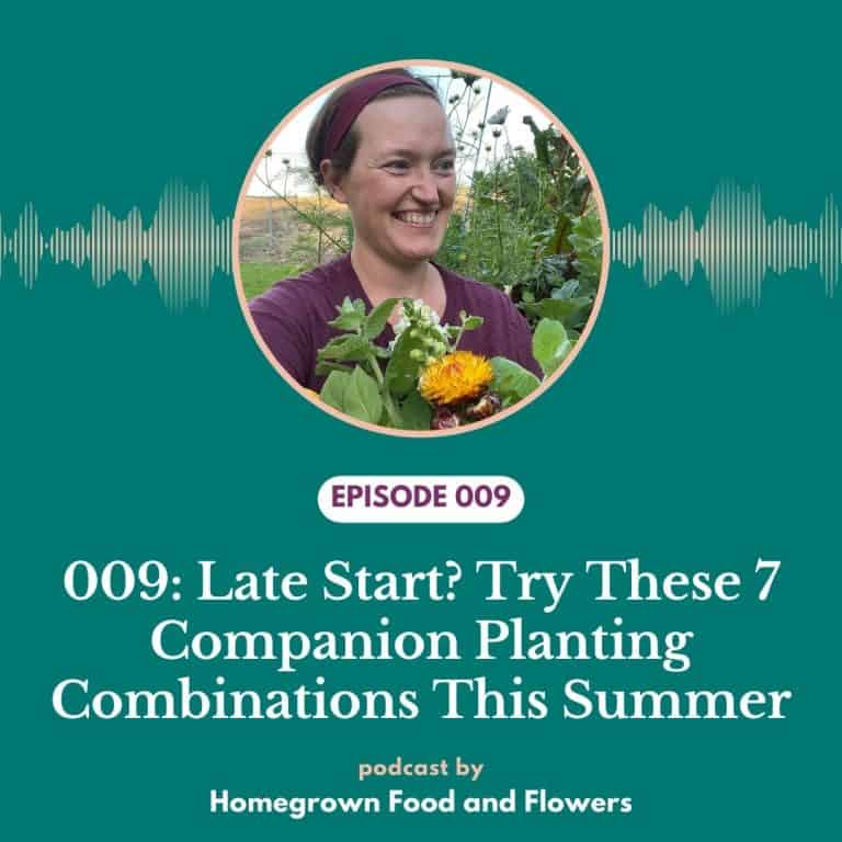 Episode 009: Late Start? Try These 7 Companion Planting Combinations This Summer