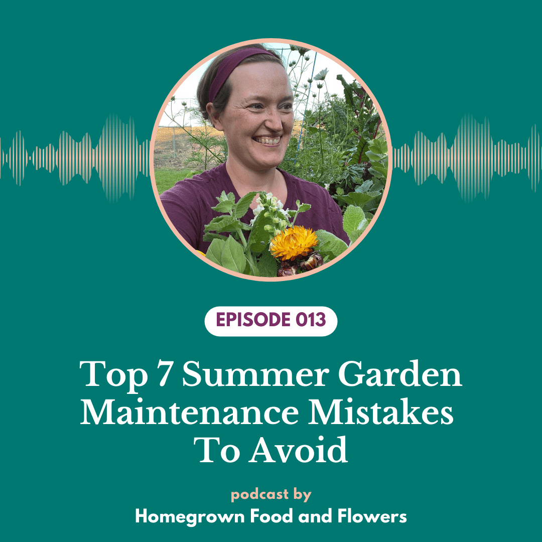 Episode 013: Top 7 Summer Garden Maintenance Mistakes to Avoid