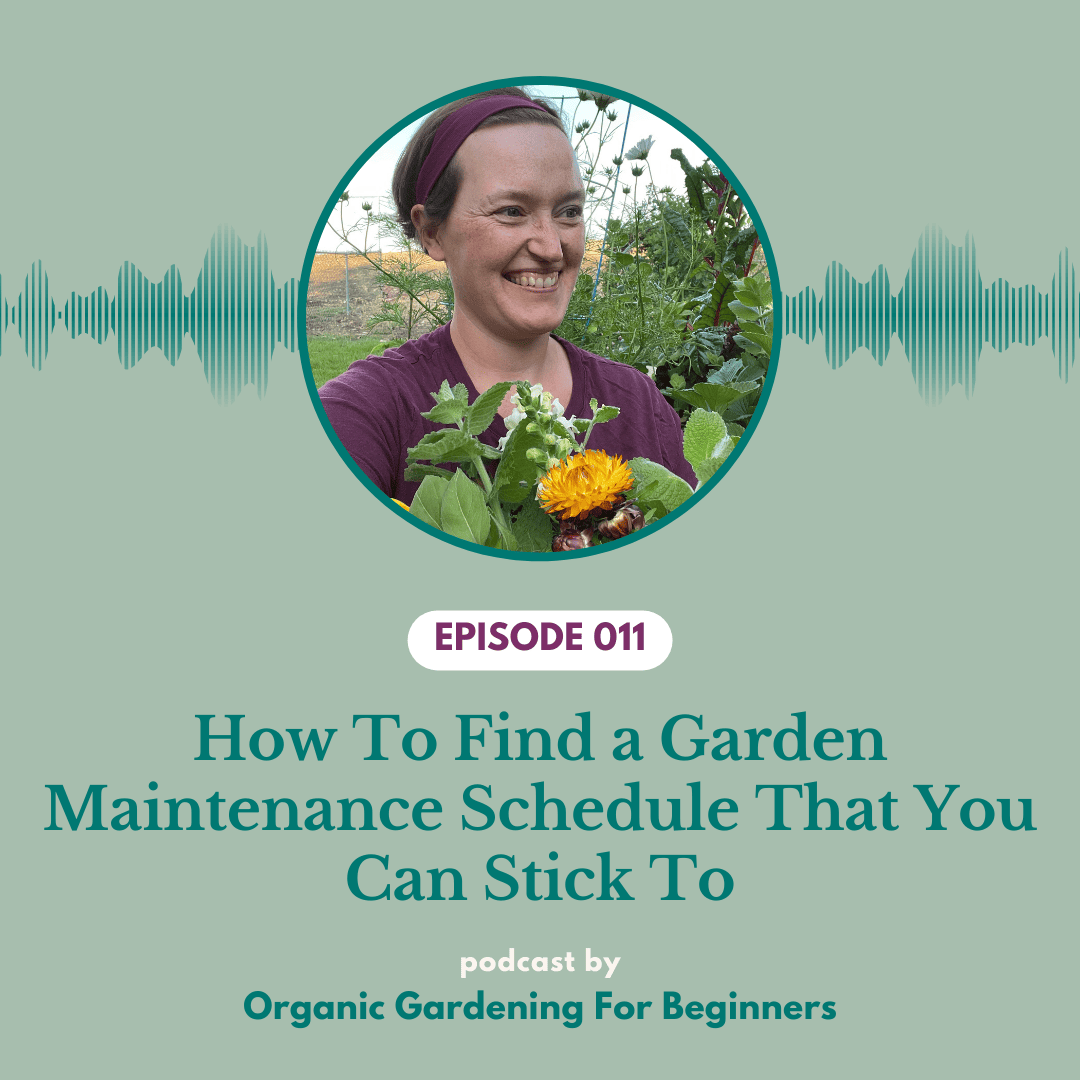 Episode 011: How to Create A Garden Maintenance Schedule That You Can Stick To